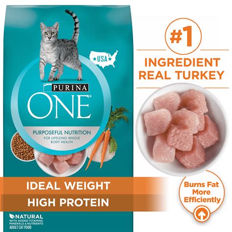 best purina cat food